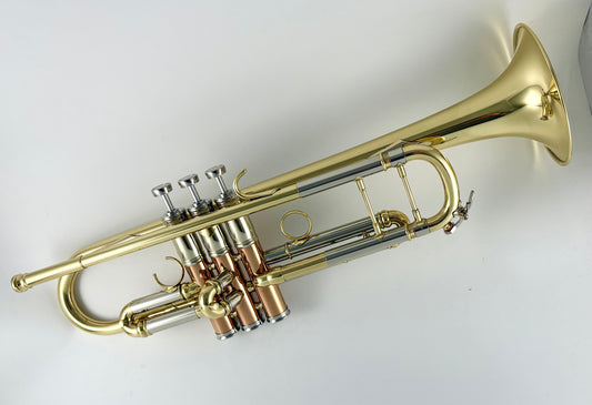 Simplicity 2 - demo model